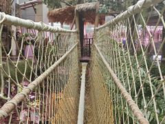 -正佳雨林生态植物园
