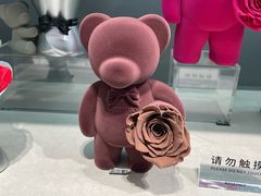 -ROSEONLY诺誓(国际广场购物中心店)