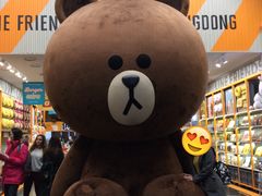 -line friends(明洞旗舰店)