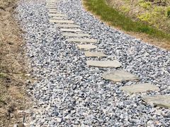 -春花秋色城市公园