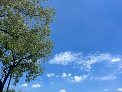 -金典银峰老鹅馆·昆山菜(亭林公园店)