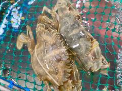 -晓琦农家菜馆·地道农家菜