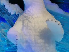 -海合安成都极地海洋公园