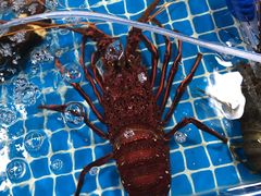 -三亚新鸿港水果一级批发市场