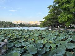 -江心屿景区