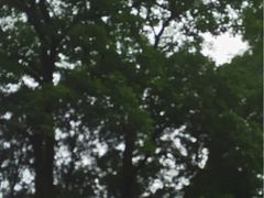 -雁荡山风景名胜区-小龙湫