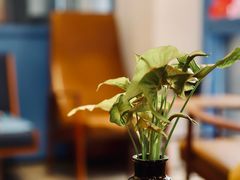 -argangKaffe(宝庆路店)