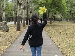 -秦皇岛野生动物园