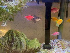 -海底捞火锅(长沙华创国际广场店)