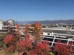 -唐咖精品咖啡(大理古城手冲店)