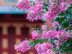 -北海公园
