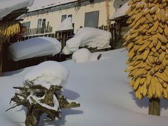 -东北人家铁锅炖(鞍山路店)