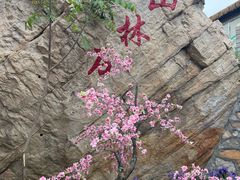 -京东石林峡风景区