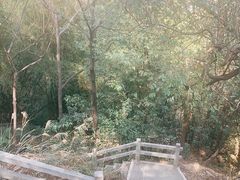 -广州市白云山风景名胜区