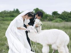 点击看大图 -钟爱一生婚纱摄影旗舰店