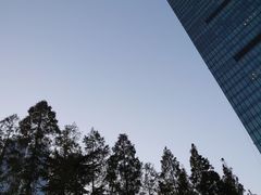 -上海璞麗酒店