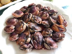 -金海湾海鲜排档(朱家尖店)