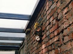 -VOYAGE COFFEE(北锣鼓巷店)