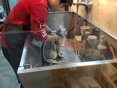 -PETKIT小佩宠物·低压洗护(国顺东路店)