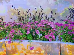 -陕西省西安植物园