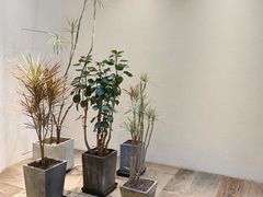 -北京三里屯CHAO酒店