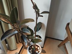 -争渡心理咨询全国连锁(福田店)