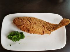 -老牌坊鲁菜名店(聊城美食岛店)