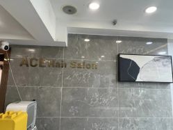 -ACE造型