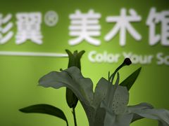 -彩翼美术馆(方庄校区)