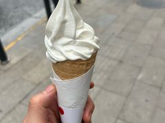 -麦丽丝红油辣椒冰淇淋(江家巷店)