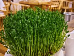 -广顺鑫猪肚鸡(经八路店)