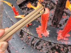 -峨眉山报国寺