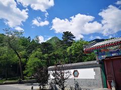 -阳台山自然风景区