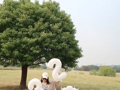 -无锡新湖铂尔曼大酒店