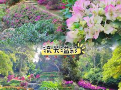 -广州市白云山风景名胜区