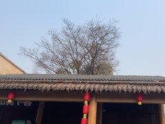 -国际非物质文化遗产博览园
