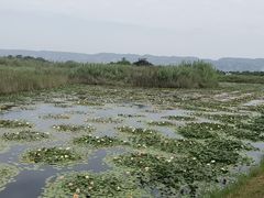 -处女泉风景名胜区