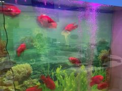 -雅悦齿科(顾村公园店)