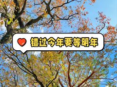 -塔川景区