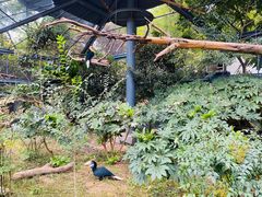 -上方山森林动物世界