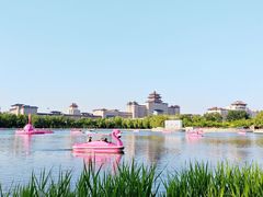-莲花池公园