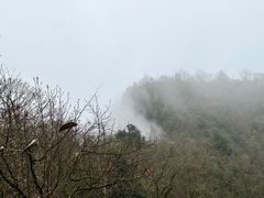 -九峰山