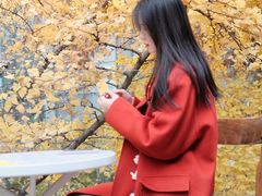 -腾爱熊猫咖啡生活馆(老东门店)