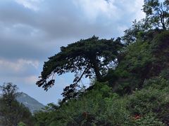 -泰山风景名胜区