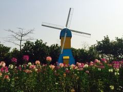 -广东花都香草世界旅游度假区