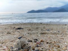 -深圳海边小筑客栈