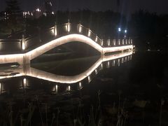 -映月湖公园