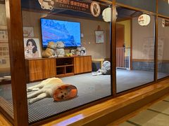 -大江户·温泉洗浴(浑南店)