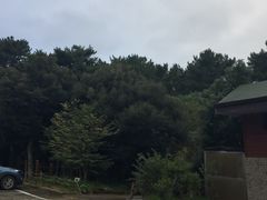 -汉拿树木园