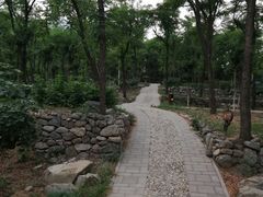 -阳台山自然风景区